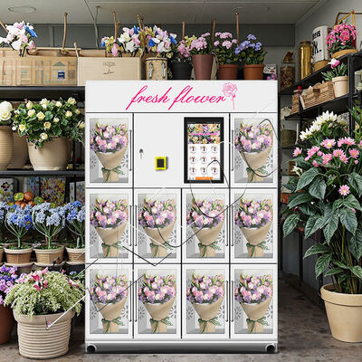 Haloo vending machine supplier double-layer glass anti fog stainless steel fully automatic 10 lockers flower vending machine